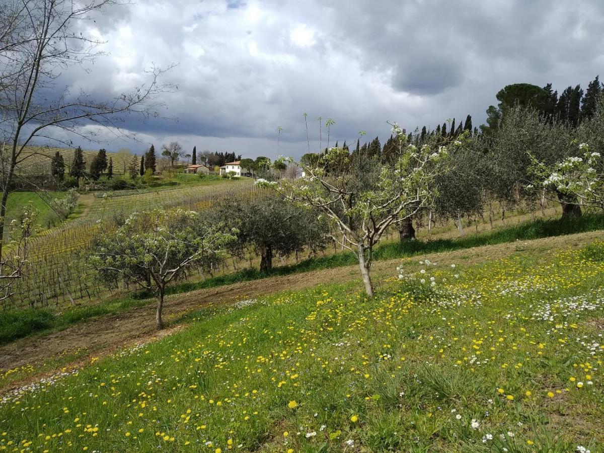 Agriturismo Ca'De'Gatti Faença Exterior foto
