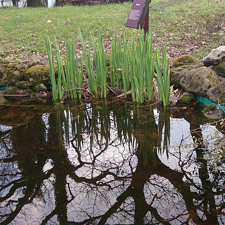 Agriturismo Ca'De'Gatti Faença Exterior foto