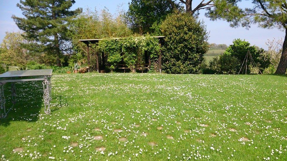 Agriturismo Ca'De'Gatti Faença Exterior foto