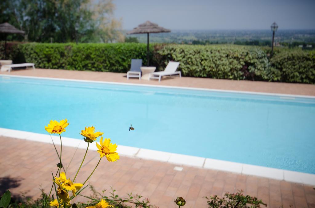 Agriturismo Ca'De'Gatti Faença Exterior foto