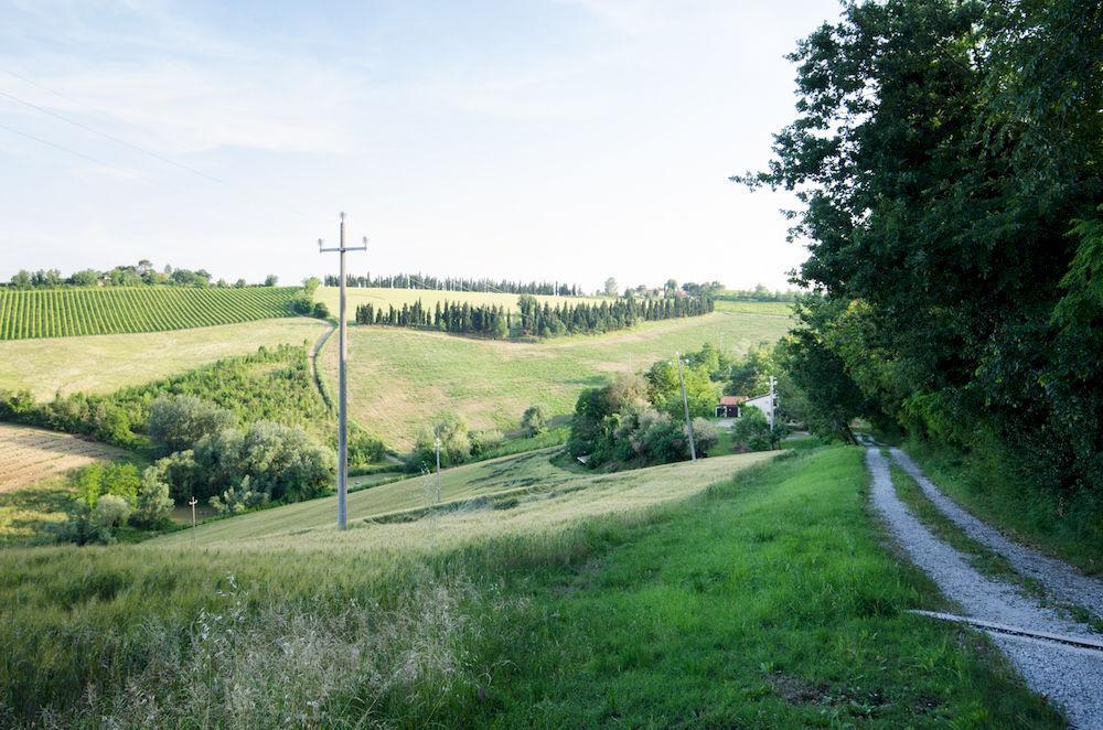 Agriturismo Ca'De'Gatti Faença Exterior foto